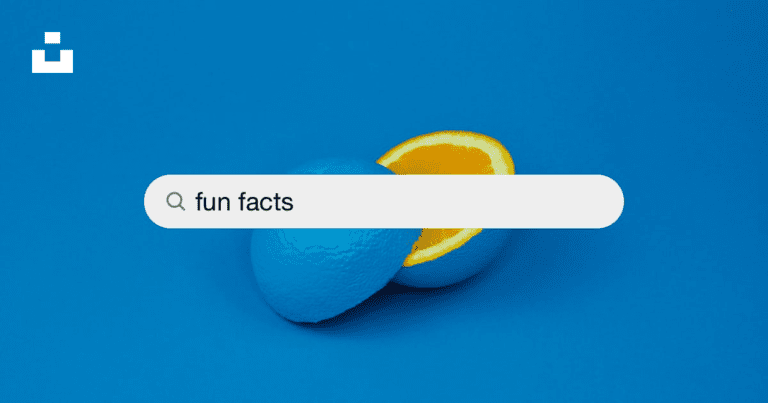 50 Fun Facts About Mexico You Never Knew
