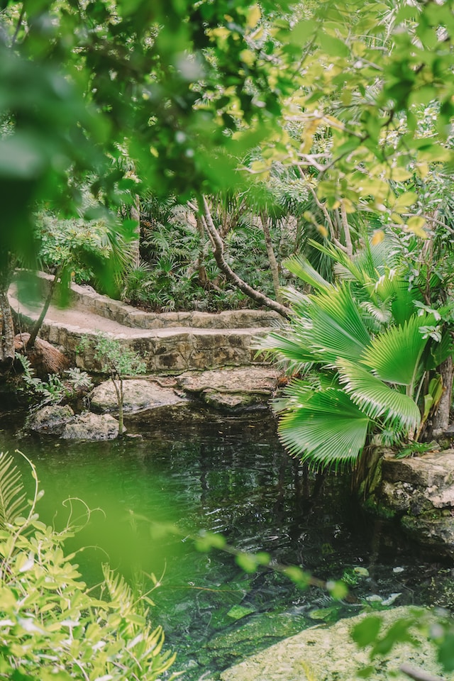 Cenote Zaci-Ha
