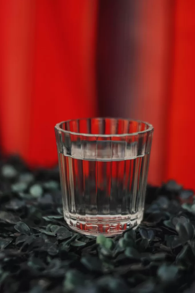 a glass of water sitting on top of a pile of leaves Tequila Tasting Tlaquepaque