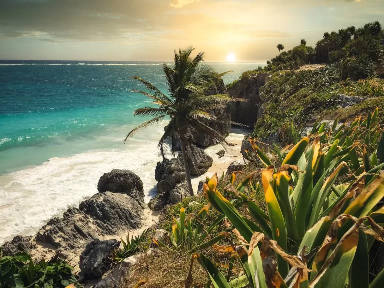 Is Riviera Maya Safe For You? Ultimate Guide