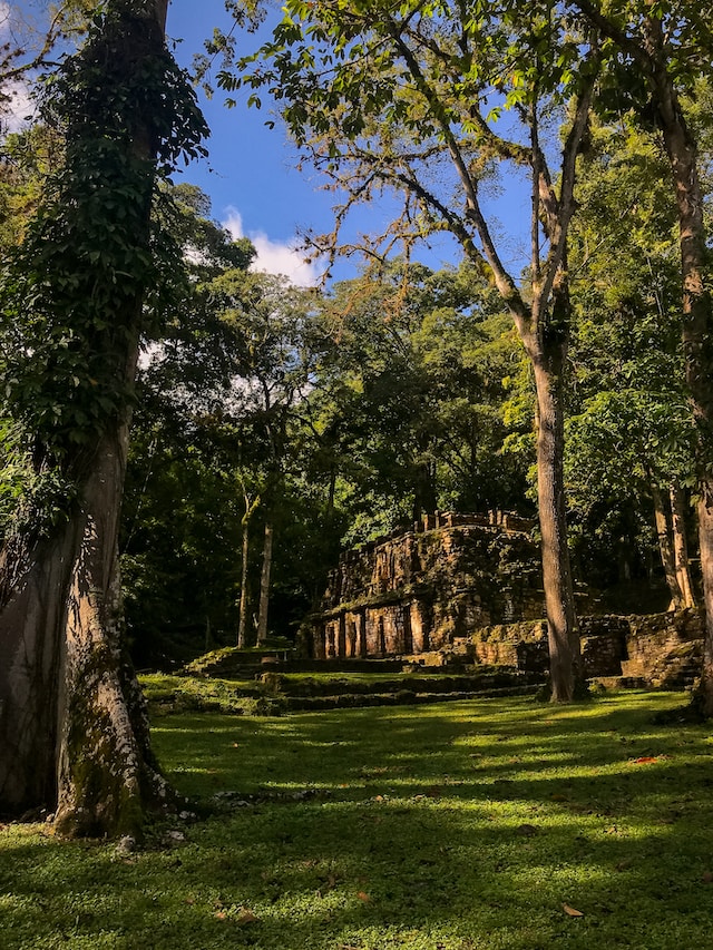 Yaxchilan Ruins