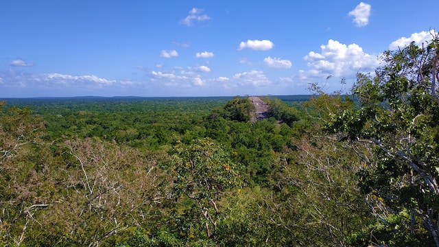 Calakmul mayan ruins mexico