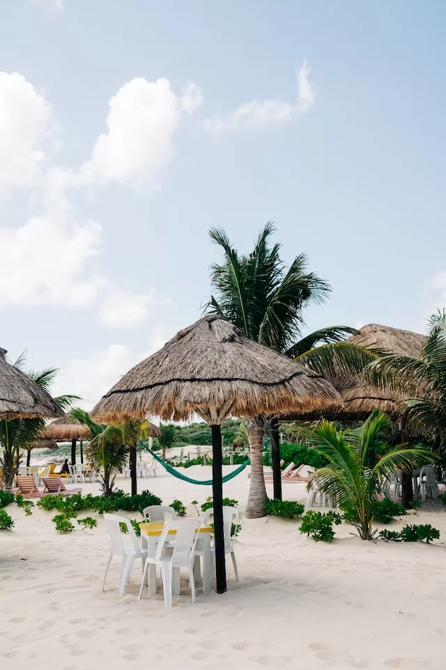 Relax at Beach Bars for Free Cozumel