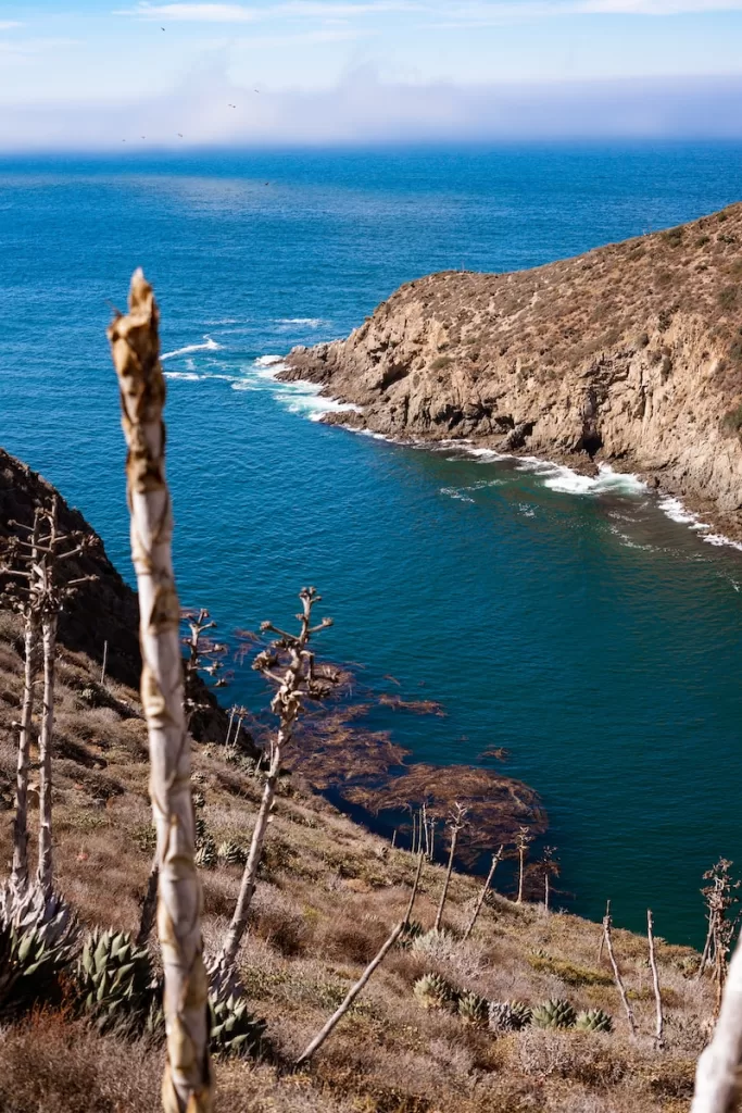 calm water at daytime Ensenada