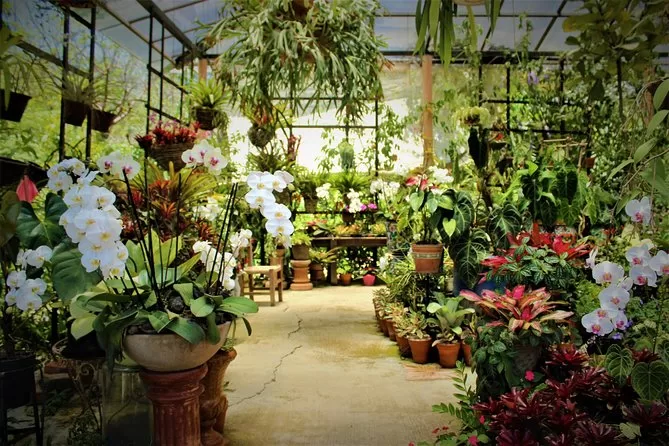 vallarta botanical gardens