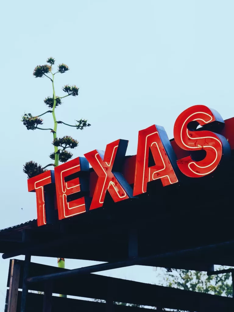 All of the Pros and Cons of Living in Texas You Need to know