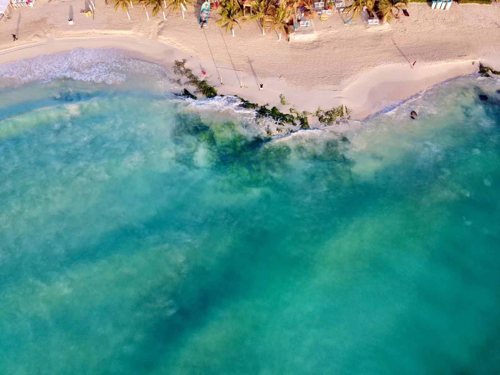 people on beach during daytime in Playa Del Carmen