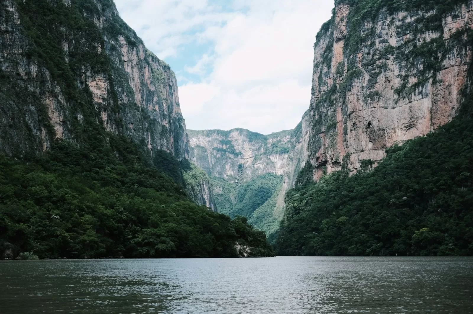 a body of water surrounded by mountains and trees in Sumidero Canyon