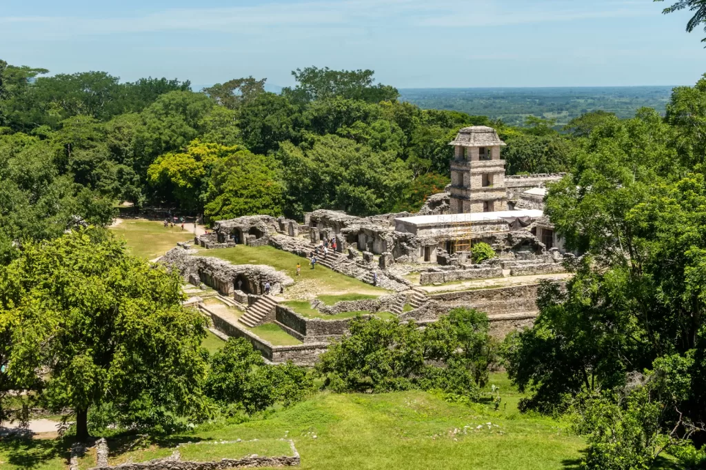 green trees and grass field during daytime in Chiapas Mexico