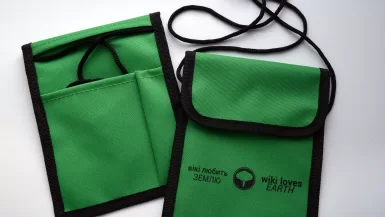 Best Travel Neck Wallets in green