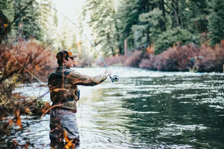 Best Travel Fishing Rods 2024: Expert Reviews & Picks