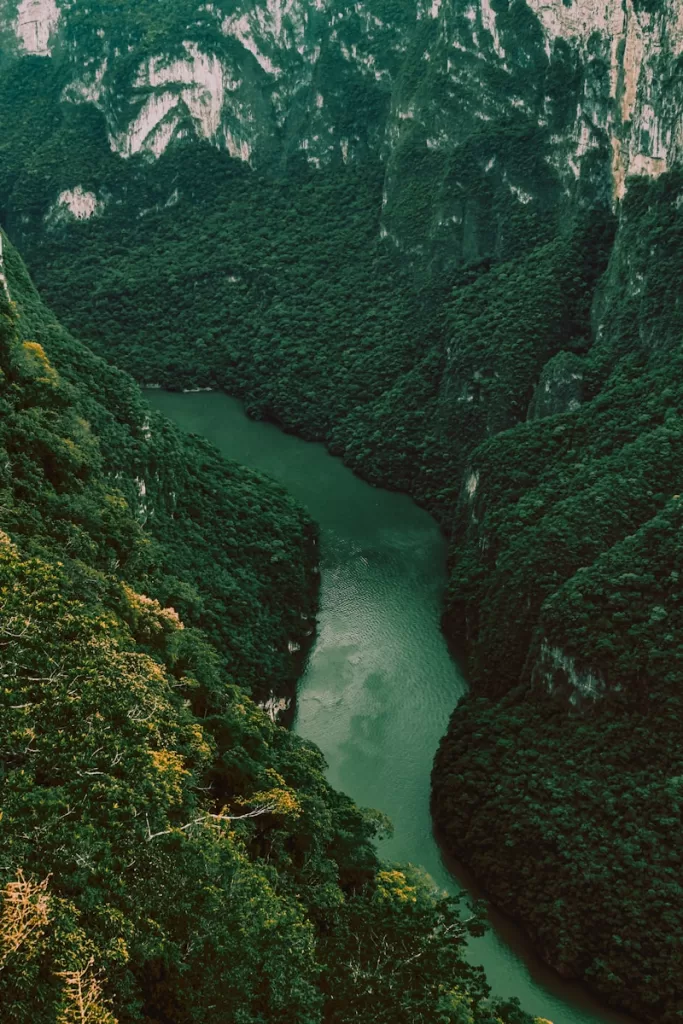 river in between green moss covered rocks Chiapas Mexico