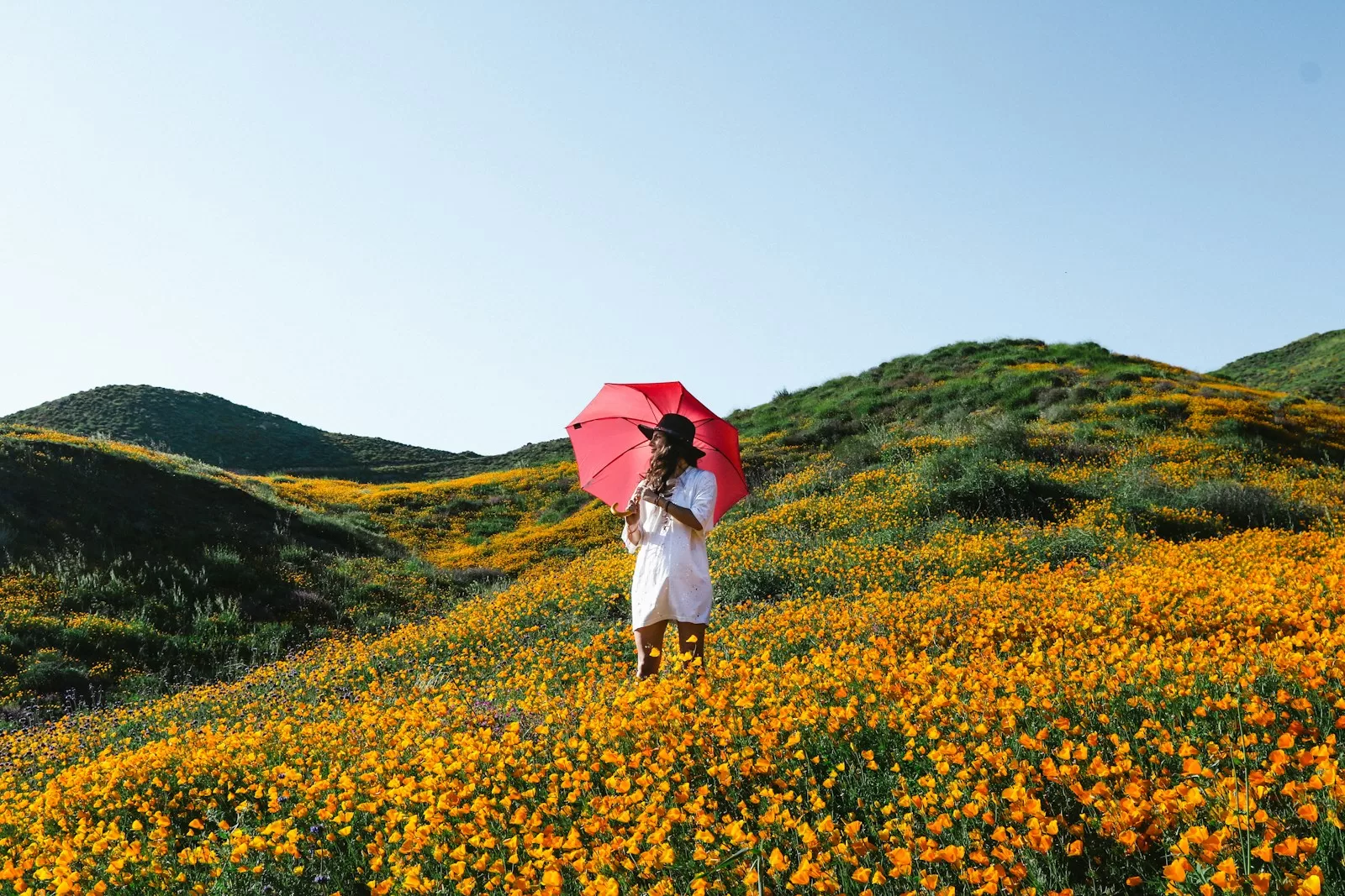 woman walking on orange petaled flower plant field while holding red best travel umbrella