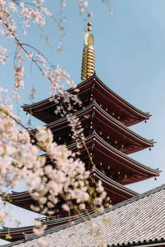 red and brown tower at daytime Asian Blossoms in Spring