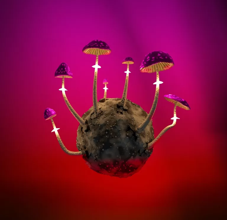 How Long Do Magic Mushrooms Last? | Duration and Effects