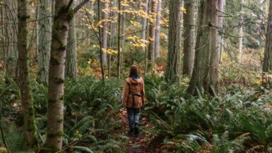 A person walking through a forest with lots of trees Sustainable Travel