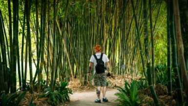 man in white shirt and black pants standing on pathway between bamboo trees during daytime Eco-Friendly