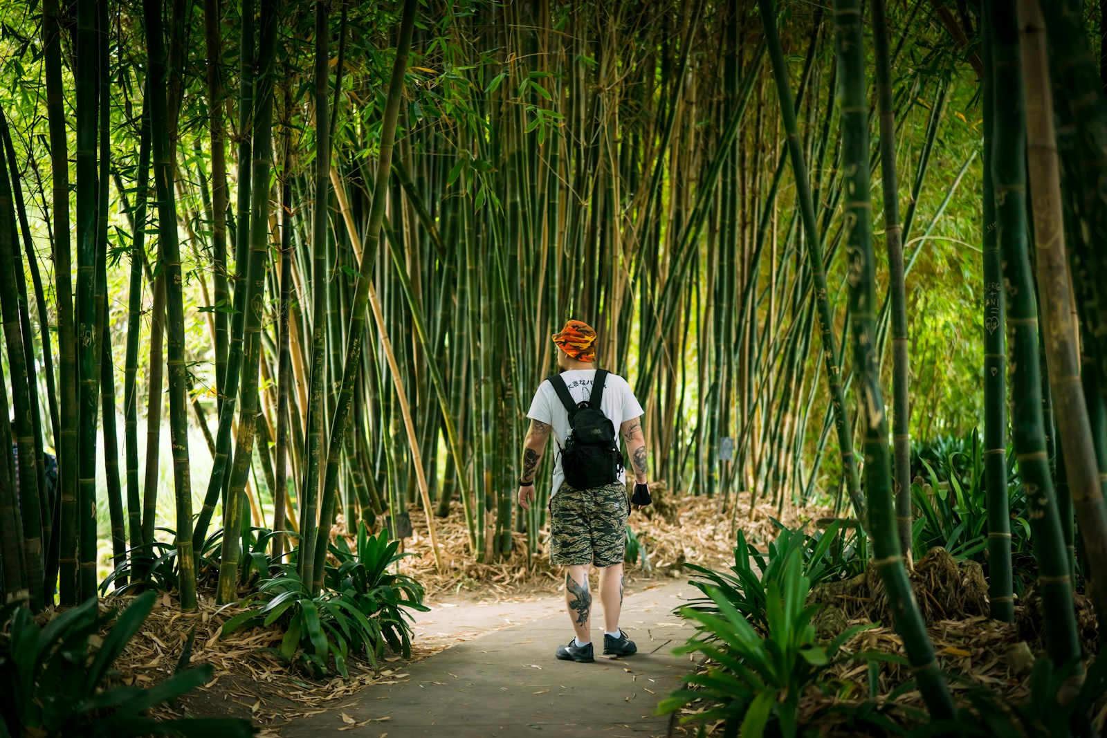 man in white shirt and black pants standing on pathway between bamboo trees during daytime Eco-Friendly