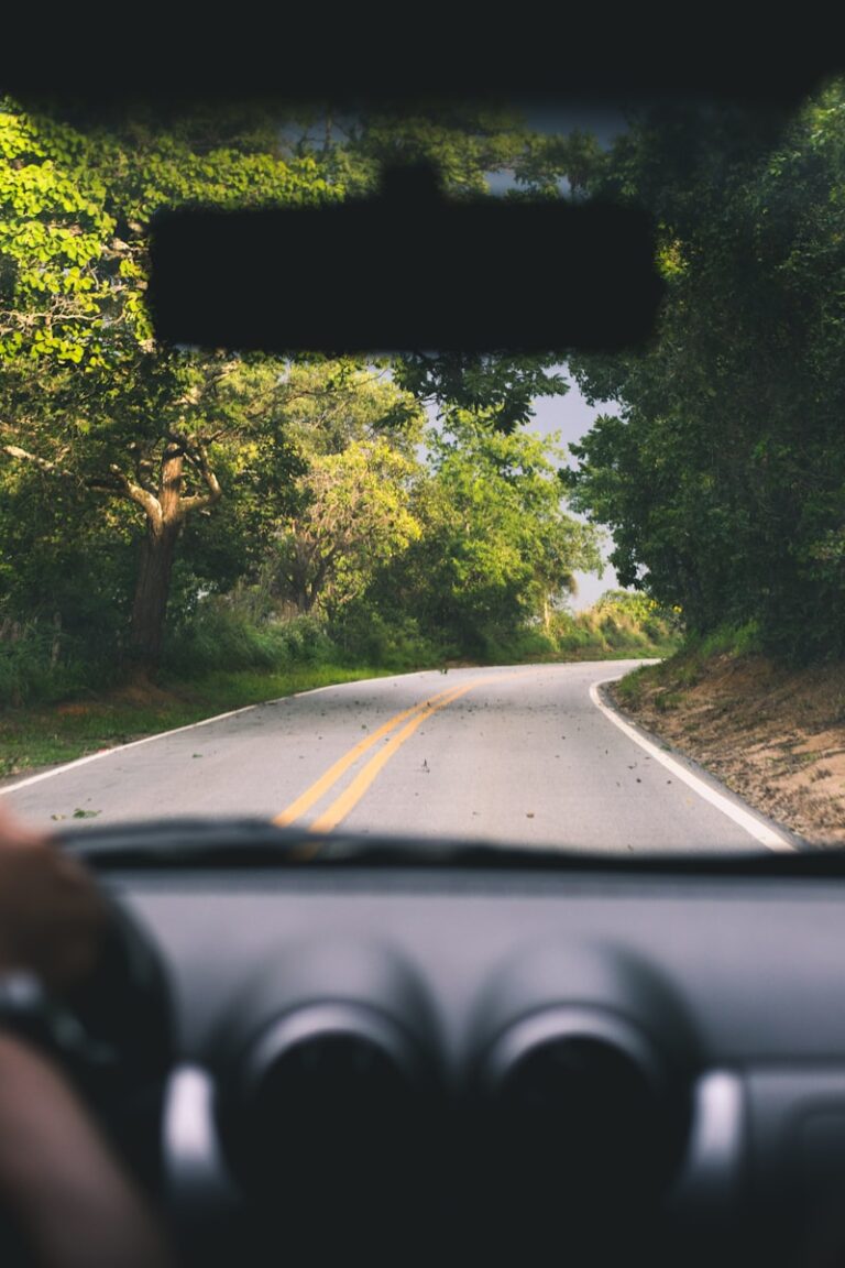 How to Plan a Road Trip: Essential Tips for a Memorable Adventure
