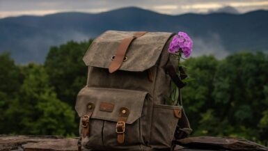 brown leather backpack on brown wooden log Outdoor Gear