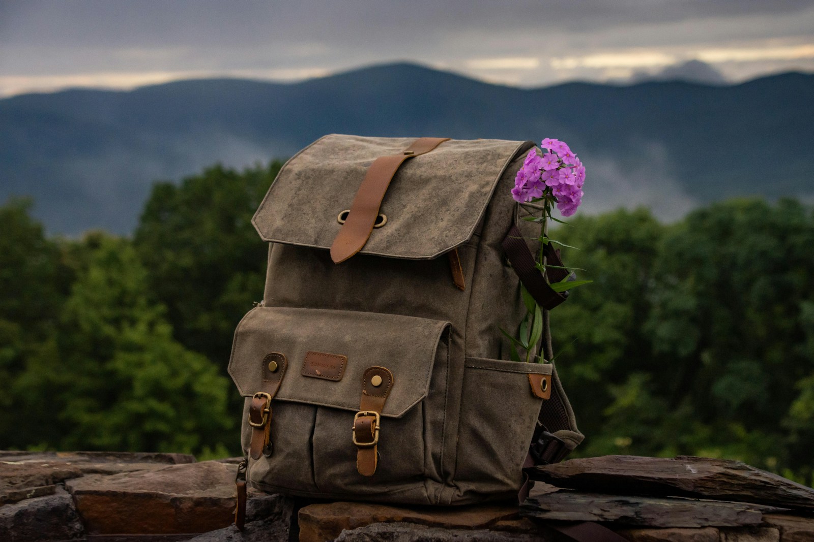 brown leather backpack on brown wooden log Outdoor Gear