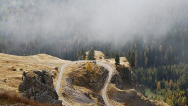 a dirt road winding through a valley surrounded by trees Hiking Trails