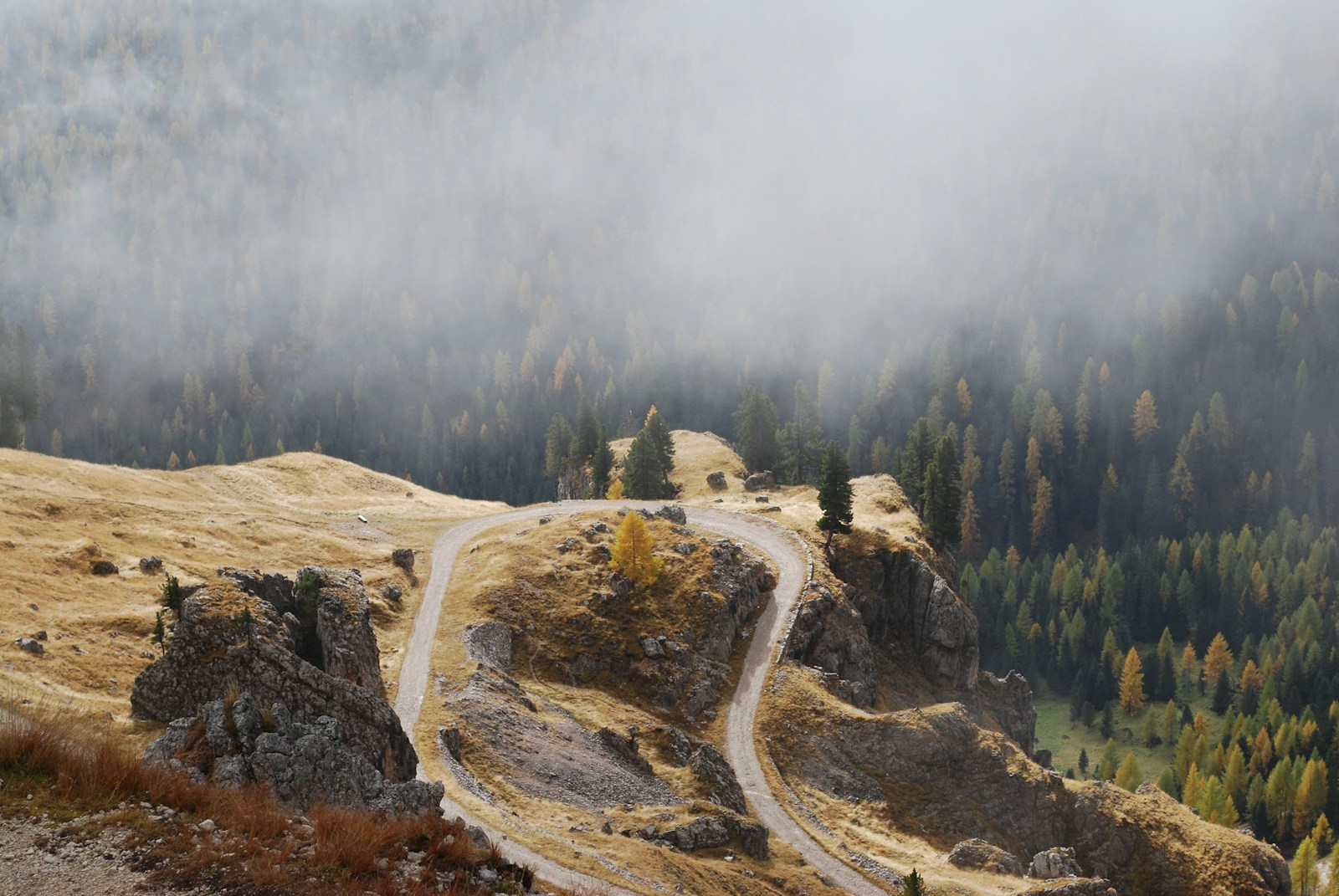 a dirt road winding through a valley surrounded by trees Hiking Trails