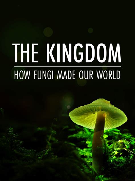 The Kingdom: How Fungi Made Our World Poster